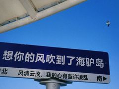 -海驴岛(荣成市)
