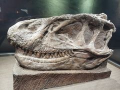 -自贡恐龙博物馆