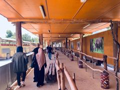 -威勒比开放式动物园