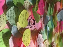 阿信厚吐司-阿信厚吐司(曾厝垵店)