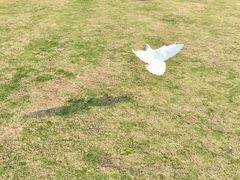 -华侨公园