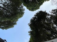 -滨湖塘西河公园