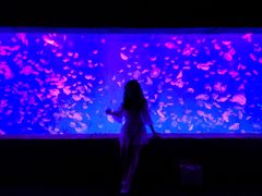 -波塞冬旅游度假区