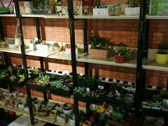 android_upload_pic-H次元沉浸剧情密室(街道口店)