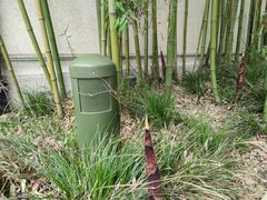 -迪士尼小镇