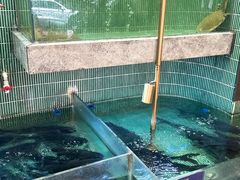 -鱼你相聚·河鲜馆(袁家岭店)