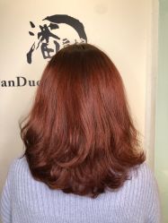 -东方麒麟·潘多拉SALON