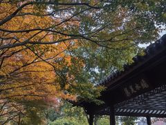 -北山街历史文化街区
