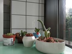 景观位-蜜蜂小象·榴莲千层蛋糕(时代汇11栋店)