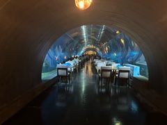 -涛·海底餐厅·美人鱼·自助餐·海底隧道(三亚海棠湾洲际度假酒店)