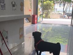 -瑞派名望24h动物医院异宠专科·猫专科·骨科·重症监护分院