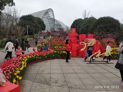 -南山植物园