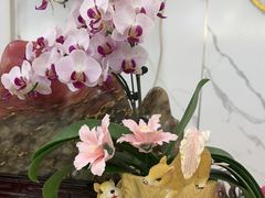 -丽泽山庄·生态怀柔菜·虹鳟鱼(红螺寺店)