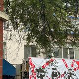 沈阳超火的东巴适来文安路开分店啦‼️