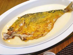 新海臭鲈鱼-新海渔港·胶东海鲜家常菜·家宴(奥体中心店)