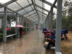 -杭州市第三人民医院