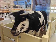 -红星前进面包牛奶公司(君太店)