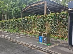 -杨氏青龙虾·羊蝎子(珠江路店)