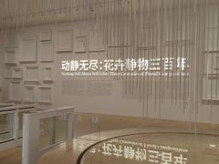 -德基艺术博物馆