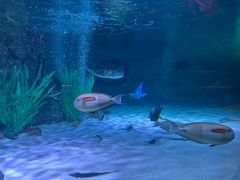 -沈阳海洋探索中心