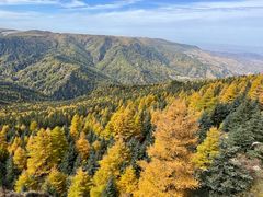 -芦芽山旅游度假区