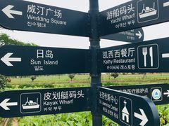 -荷兰花海