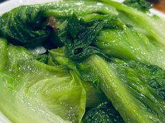 烫生菜-斯丹姜母鸭·古法干香(涂门街总店)