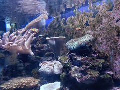 -江和美海洋公园