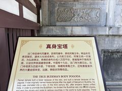 -法门文化景区