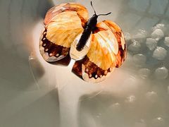 -The Drawing Room 闲逸廊(上海静安瑞吉酒店)