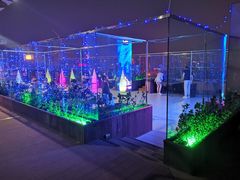 -梧桐餐厅(泉城路店)