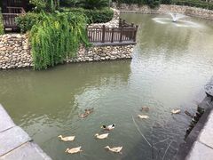 -宁波柏悦酒店·钱湖渔港