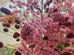 -花鸟鱼虫鲜花绿植市场(玉泉路店)