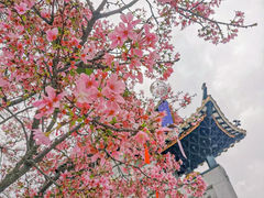 -宝墨园景区