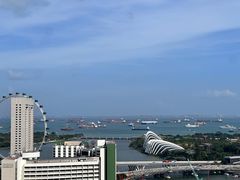 -新加坡瑞士史丹福酒店