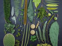 -森野花艺培训·企业团建活动沙龙