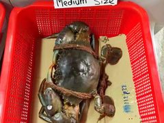 -龙海鲜螃蟹王(宏茂桥店)