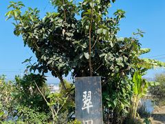 -翠田Green Field Kitchen