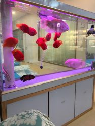 -痘庄科学祛痘国际连锁机构