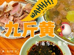-九斤黄三黄鸡专卖店