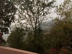 -哈尼梯田美食土菜馆