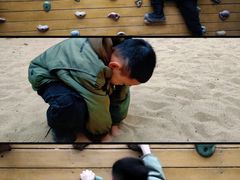 -呀路古热带植物园
