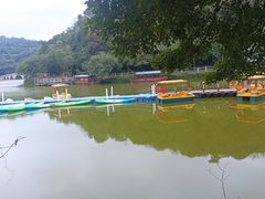 -李小龙乐园(顺德均安店)