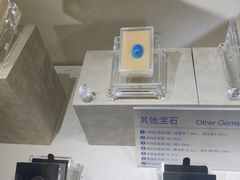 -安徽省地质博物馆