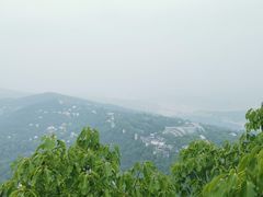 -大金鹰园