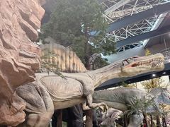 -湖南省地质博物馆