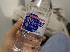 -新桥机场易登机贵宾服务