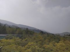 -陶祖圣境风景区