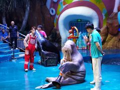 -烟台海昌鲸鲨海洋公园