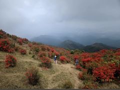 -广东天露山旅游度假区